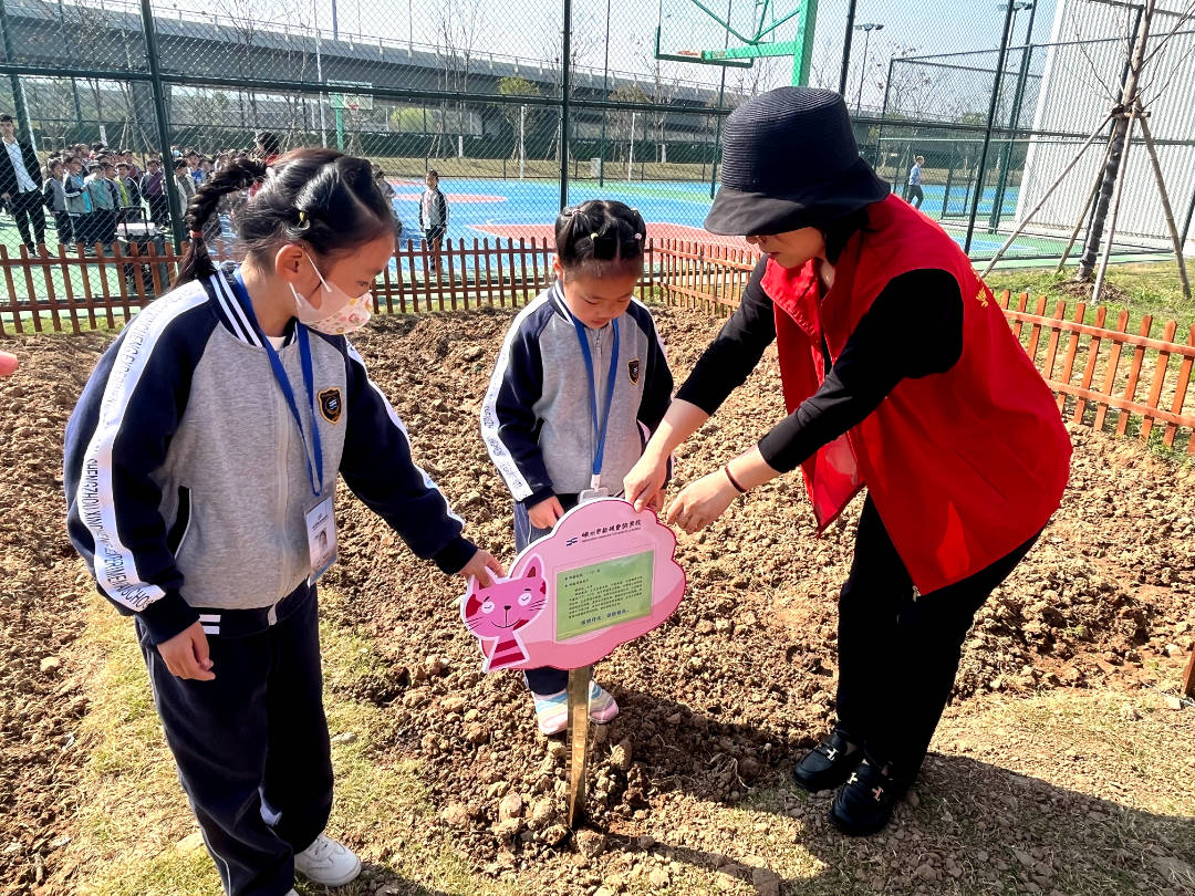 新城实验学校 植树节.jpg