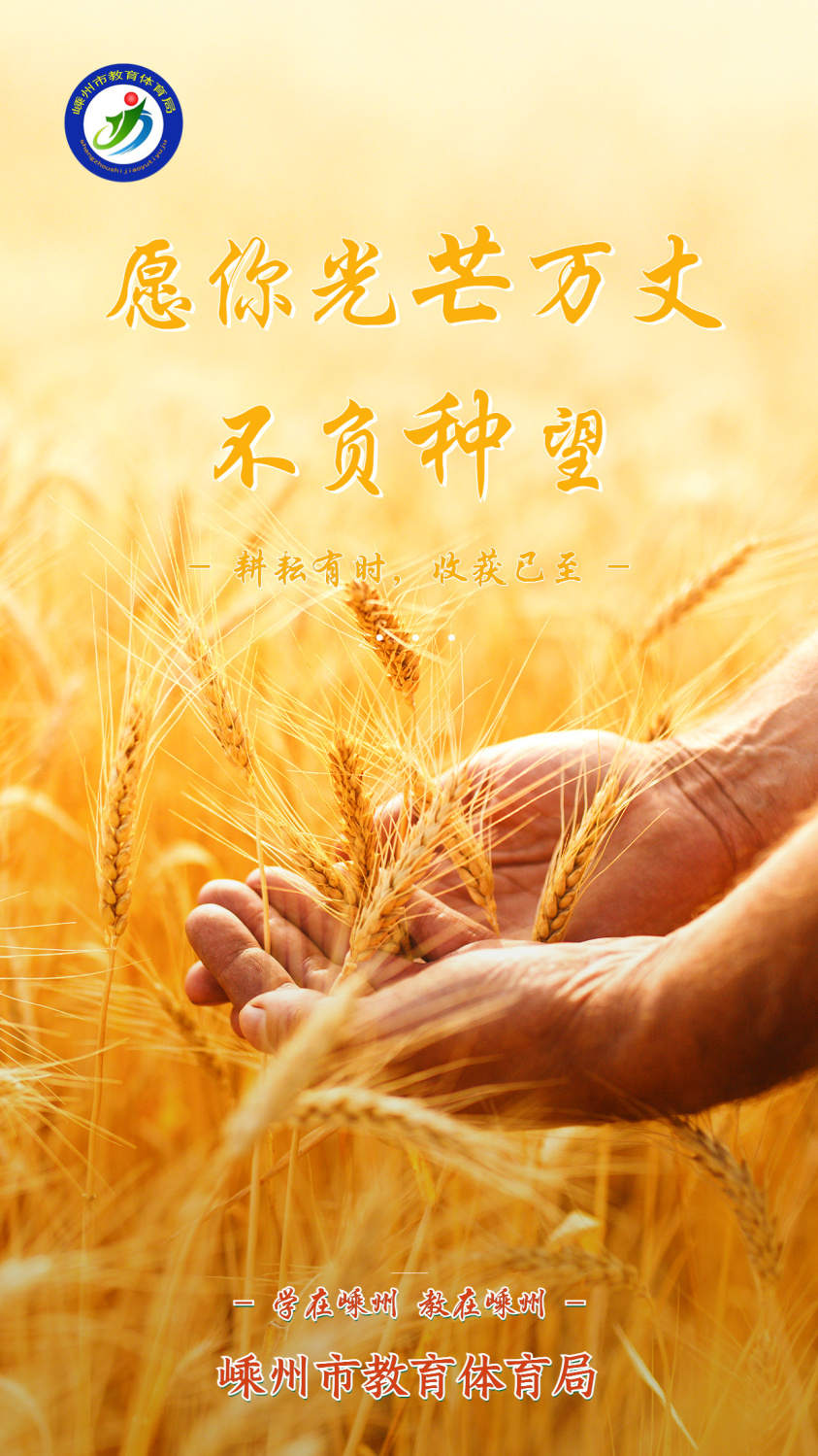 芒种海报.jpg