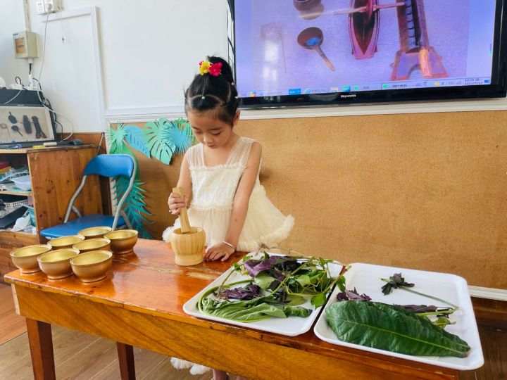 长乐镇中心幼儿园开展“小小神农识百草”探秘中草药活动1.jpg