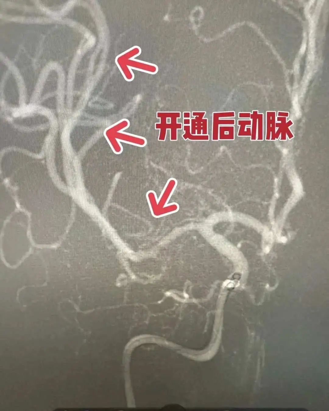6ab72852d20b5559886a77f3d6cda64.jpg